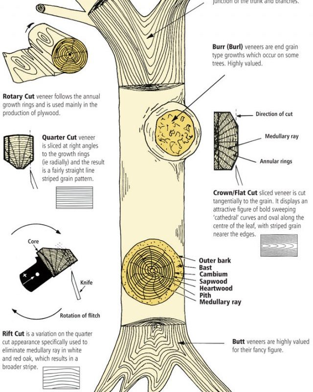 Veneer Cutting Methods - Veneer Cuts Diagram - Matilda Veneer