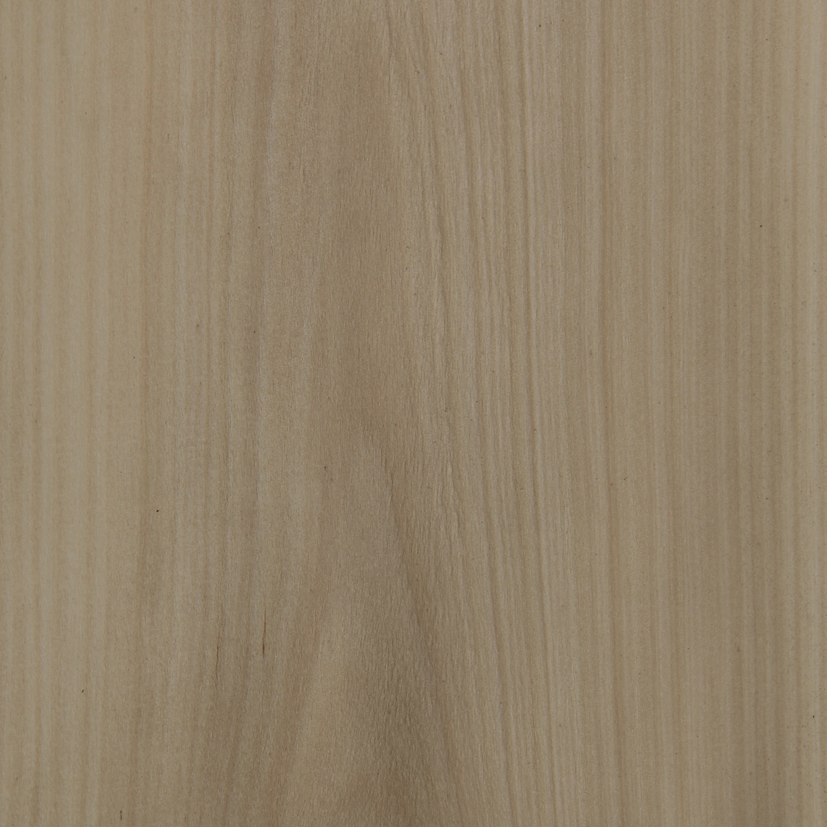 Hoop Pine (Crown) - Timber Veneer & Plywood Species