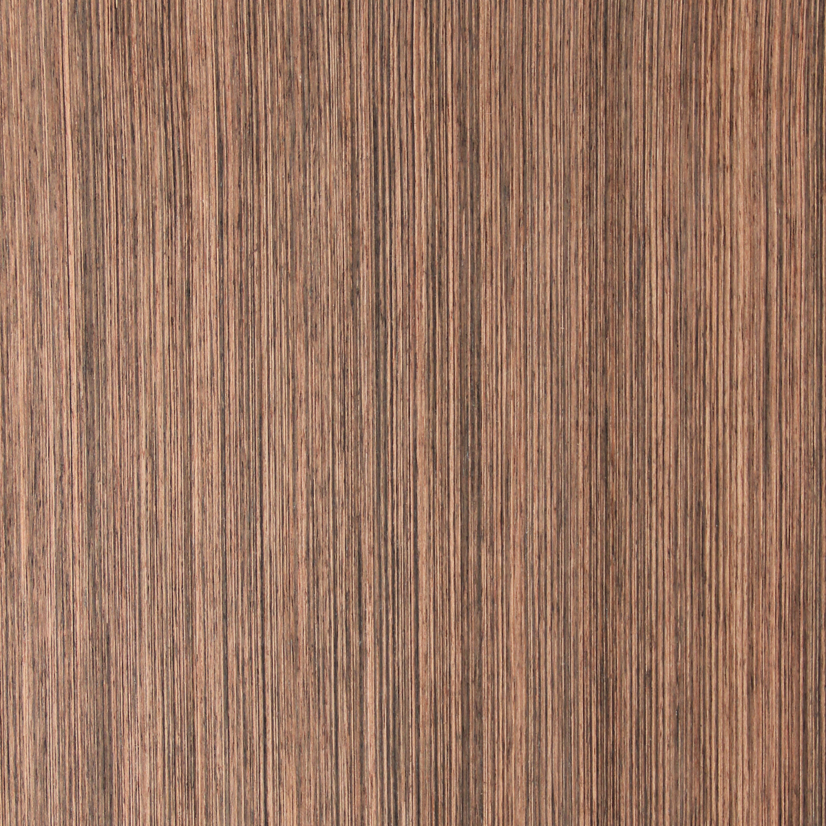 Ebony (Truewood) - Timber Veneer & Plywood Species