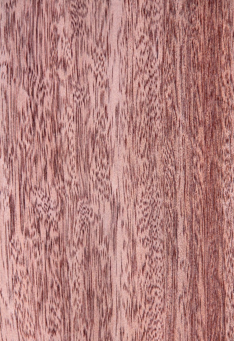 Amoora quarter - Timber Veneer & Plywood Species
