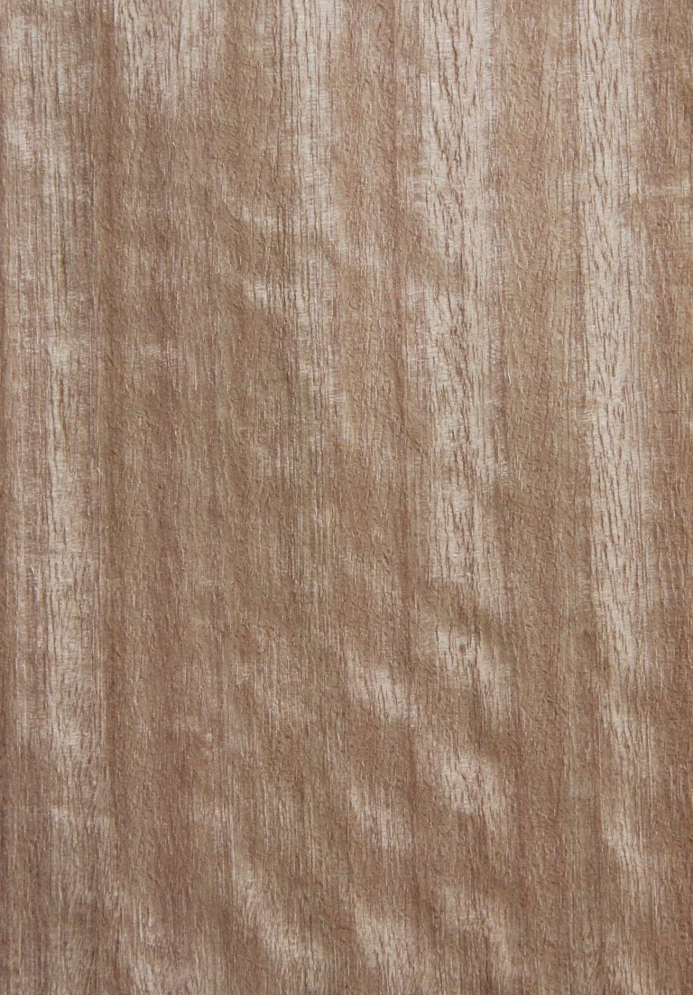 Blackbutt (quarter) - Timber Veneer & Plywood Species