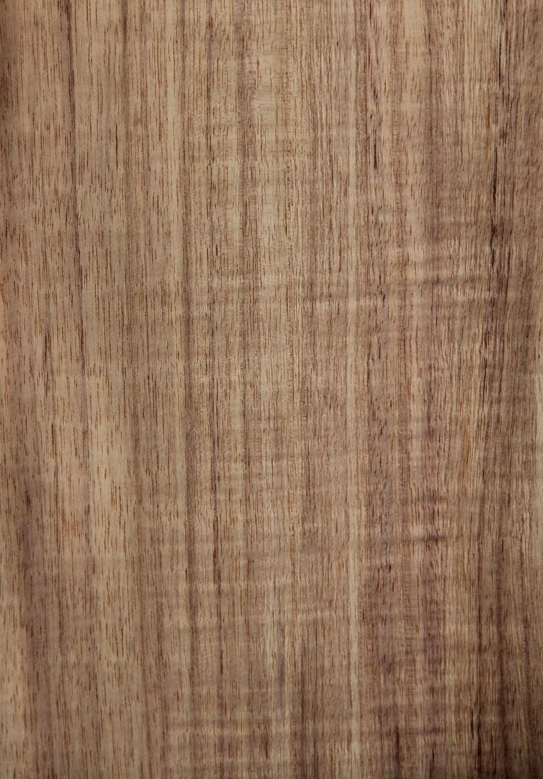 North Queensland blackwood figured (quarter) - Timber Veneer & Plywood Species