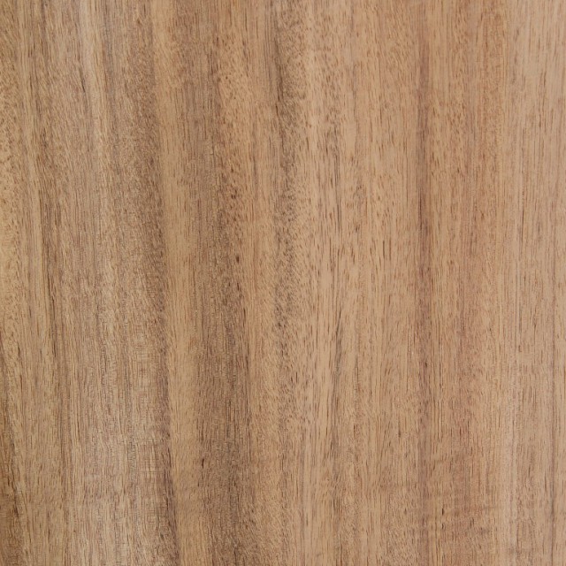 North Queensland Blackwood (Quarter) - Timber Veneer & Plywood Species