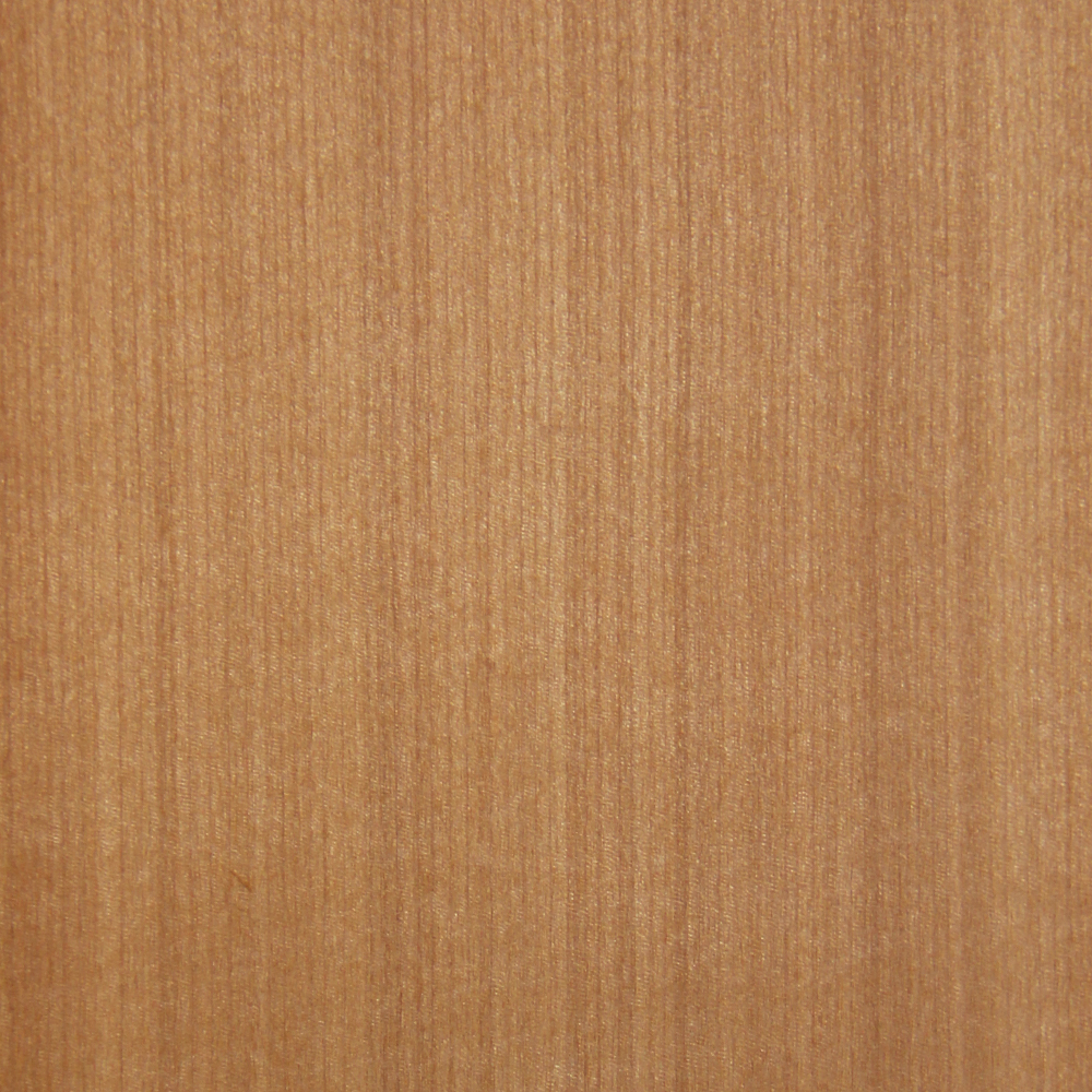 Chilean Myrtle - Timber Veneer & Plywood Species