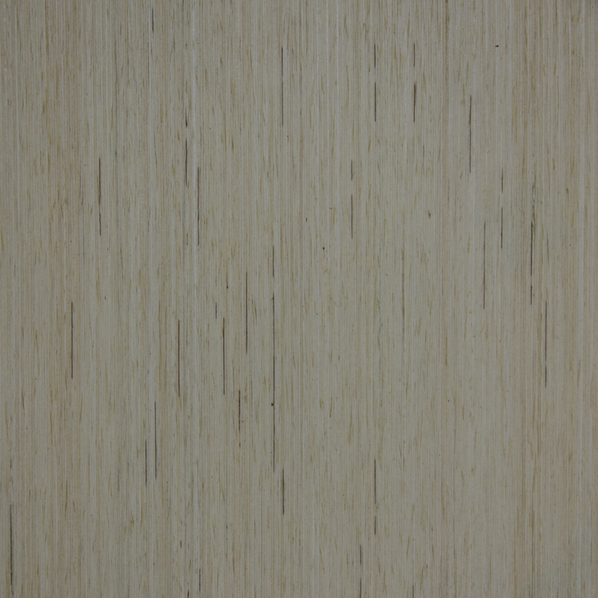 Candlenut (Truewood) - Timber Veneer & Plywood Species