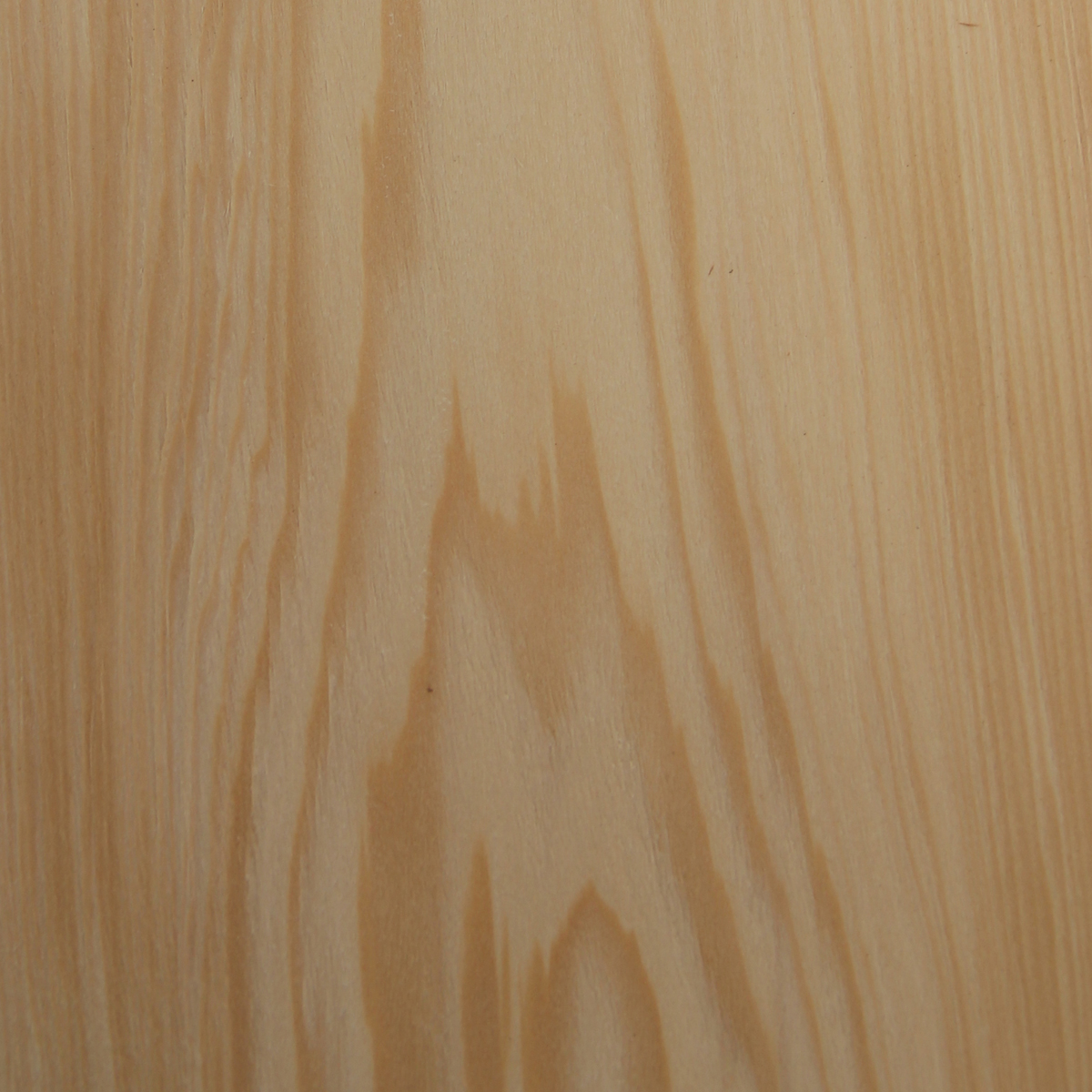 Celery Top Pine Crown - Timber Veneer & Plywood Species