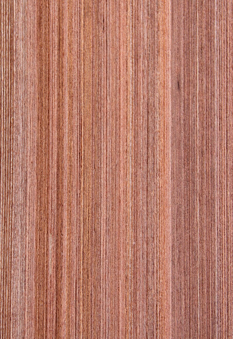 matilda veneer queensland cherry Truewood - Timber Veneer & Plywood Species