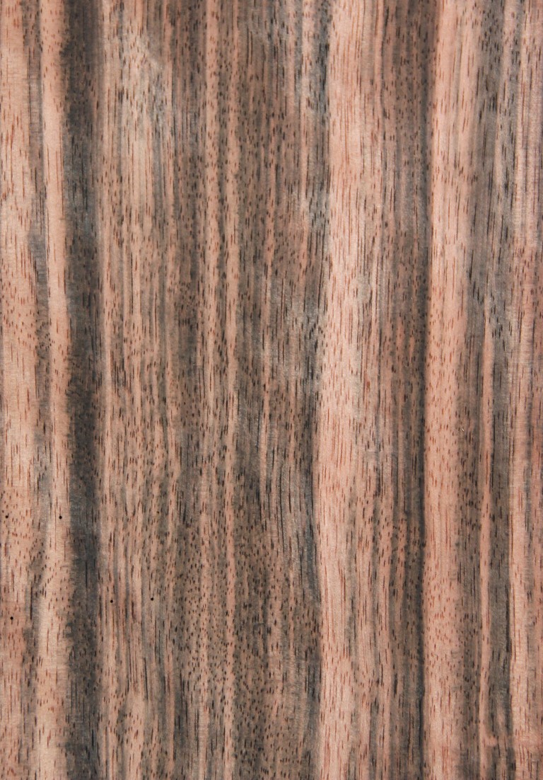 Ebony macassar (B Face) (quarter) - Timber Veneer & Plywood Species