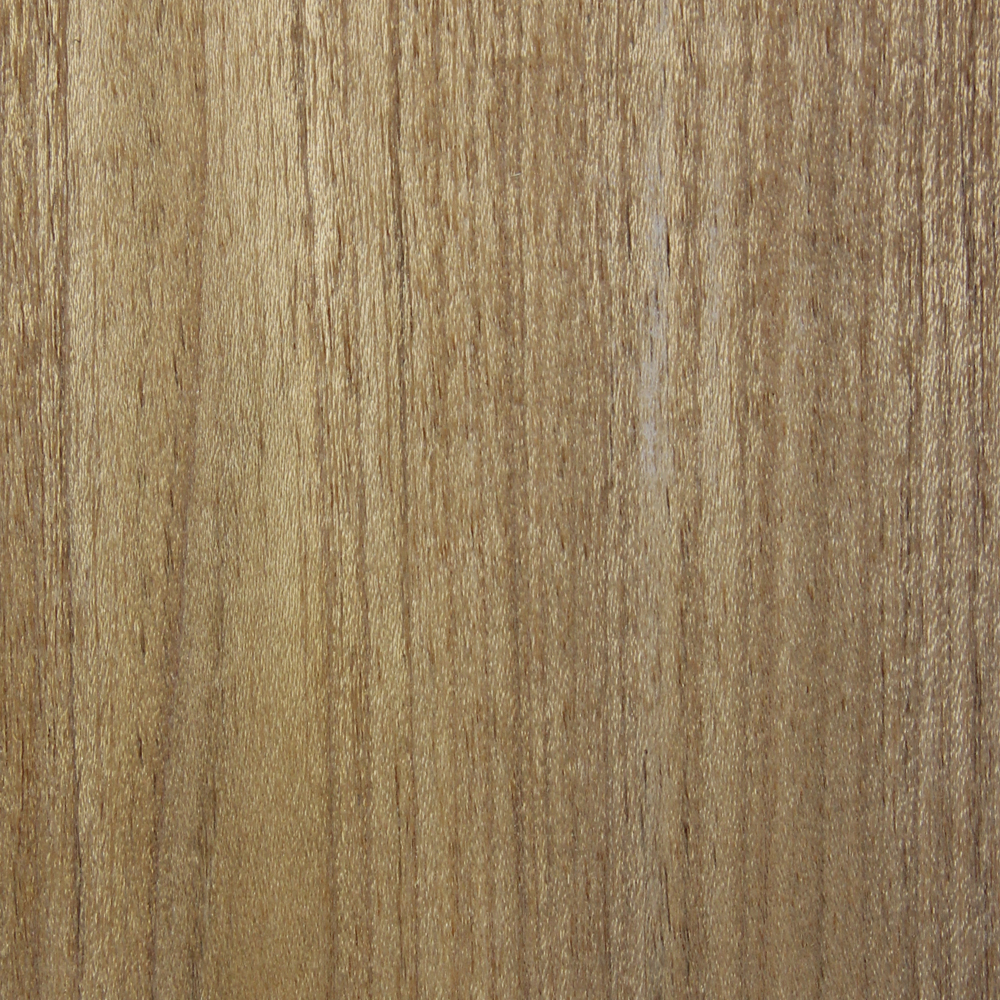 FRJ Freijo (Quarter) - Timber Veneer & Plywood Species