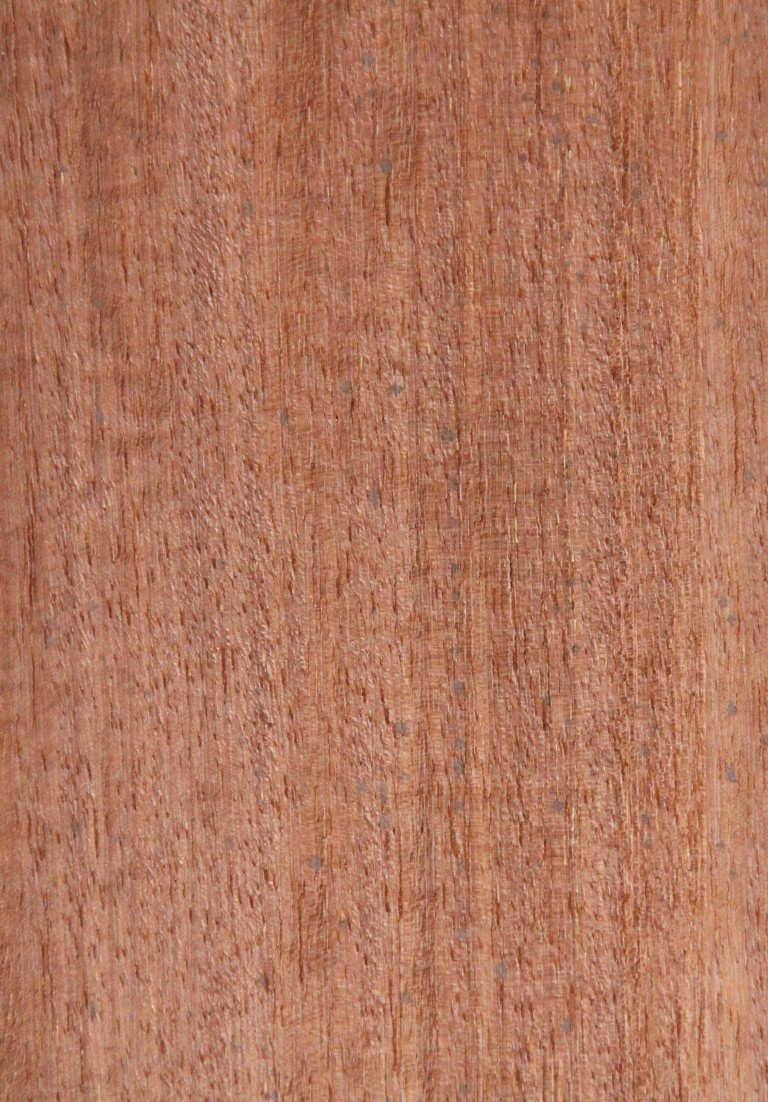 Kwila (quarter) - Timber Veneer & Plywood Species