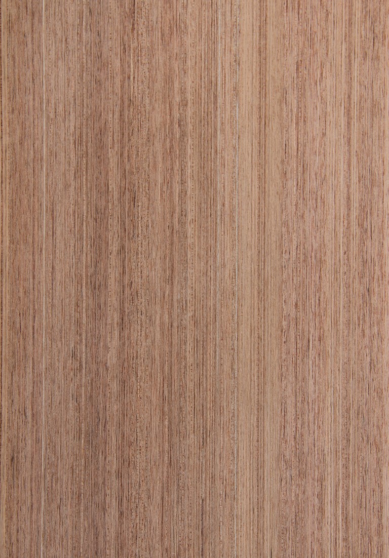Queensland maple Truewood - Timber Veneer & Plywood Species