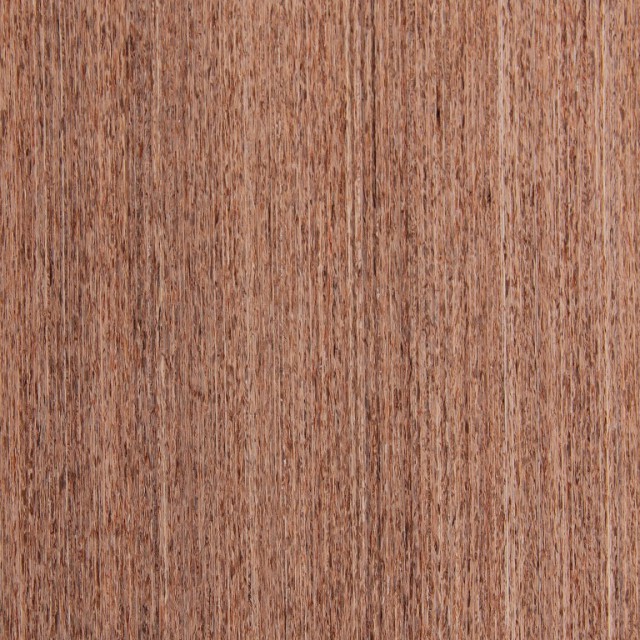 Silky Northern Oak Truewood - Timber Veneer & Plywood Species