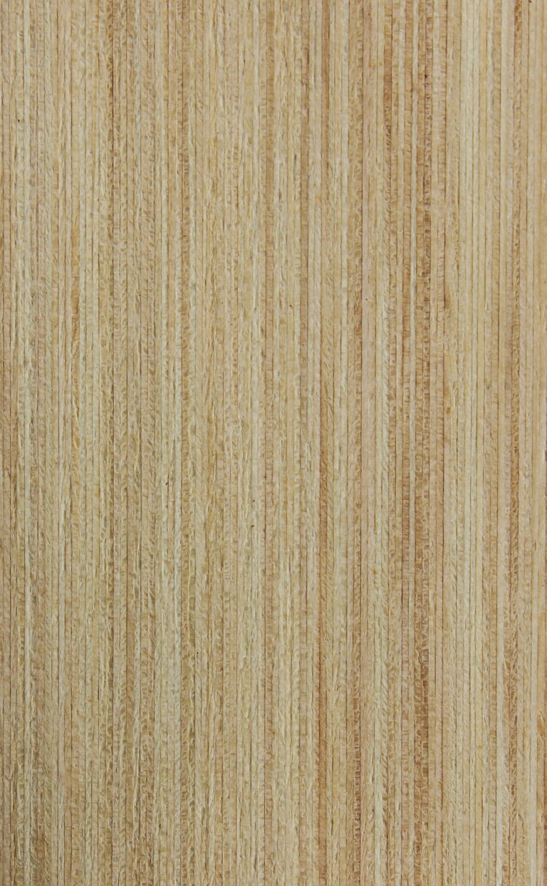 Hoop pine Truewood - Timber Veneer & Plywood Species