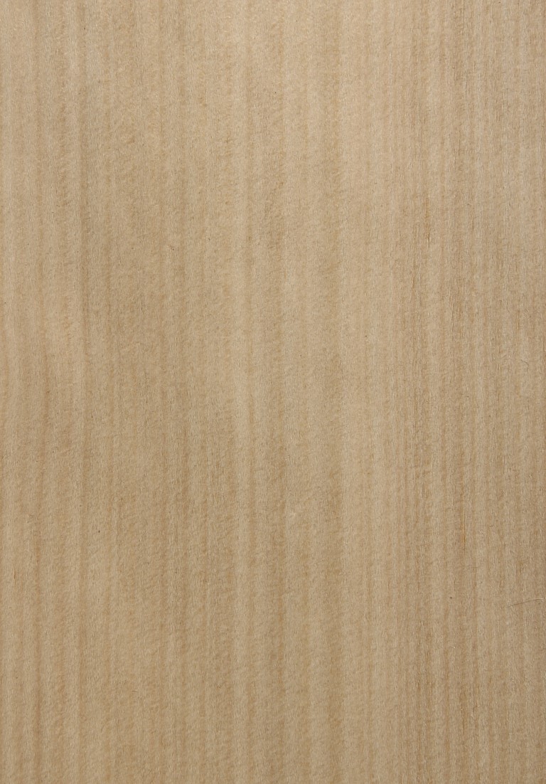 Hoop pine (quarter) - Timber Veneer, Plywood Species