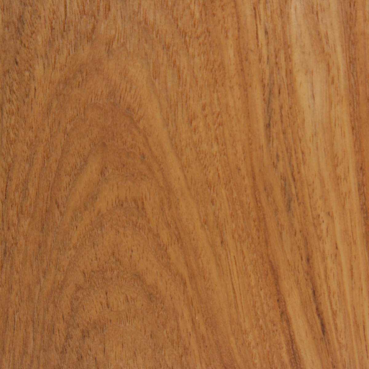 Rosewood, New Guinea Crown - Timber Veneer & Plywood Species