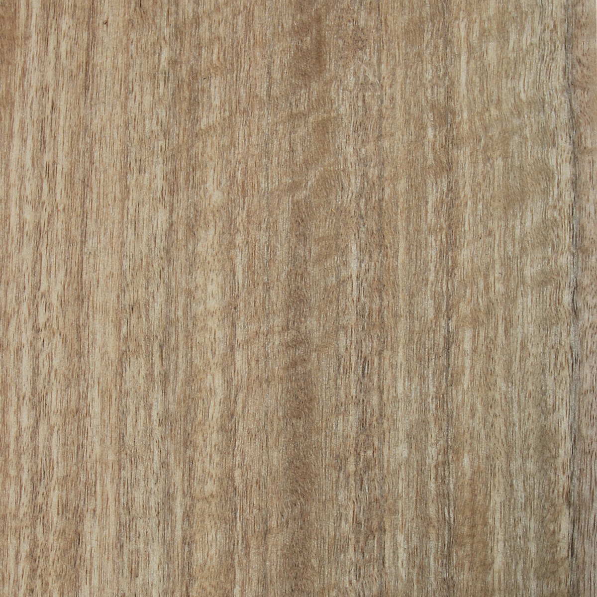 Spotted Gum (Quarter) - Timber Veneer & Plywood Species