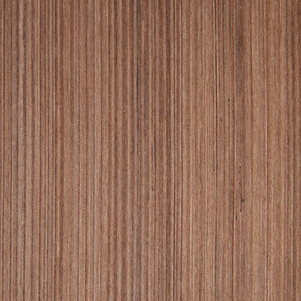 Tasmanian Myrtle (Truewood) - Timber Veneer & Plywood Species