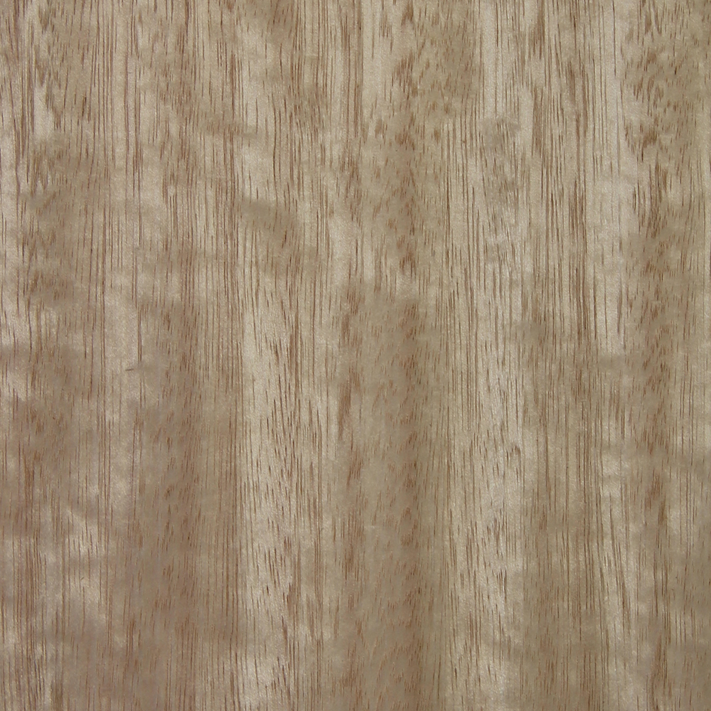 Tasmanian Oak Veneer