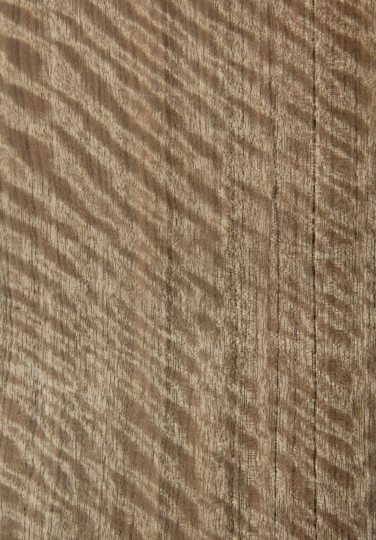 New guinea walnut fig quarter - Timber Veneer & Plywood Species