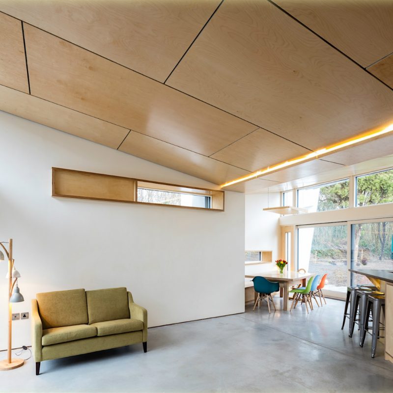 Birch Plywood Ceiling - Living Room Design